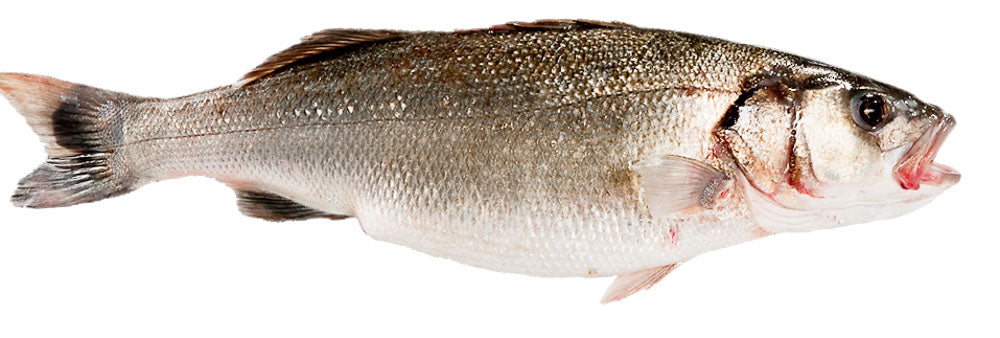 Poisson Bar découpé - Gesneden Zeebaars - 500/1000 - 8-10kg