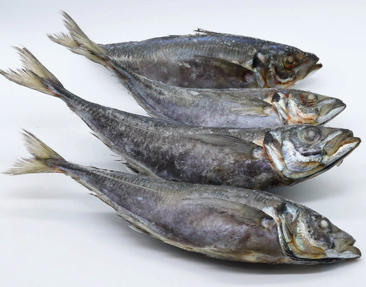 Chinchard (Thomson) - Horsmakreel 10kg - Spain