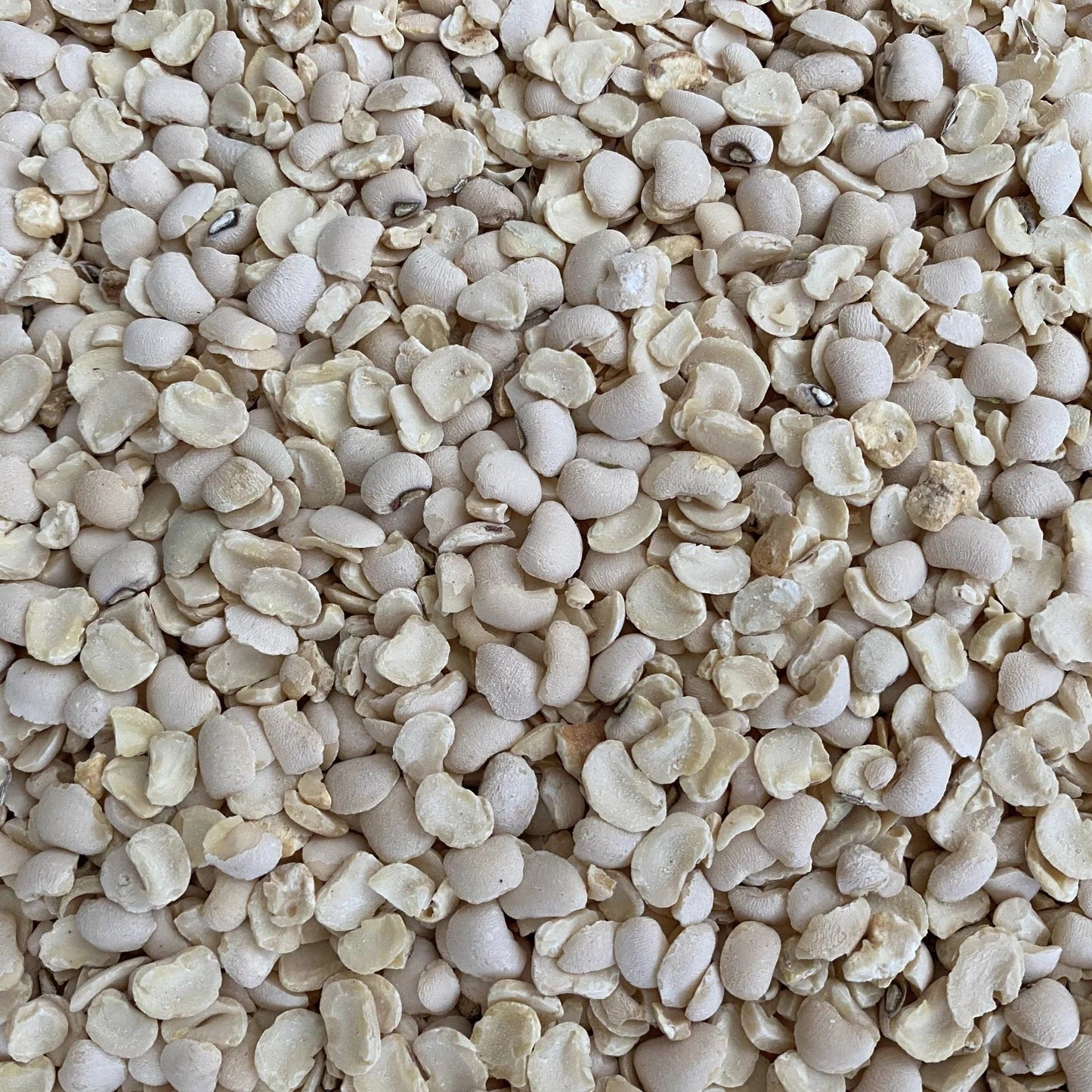 Haricot corneille concassé (Koki) - Geplette zwartoogbonen 1kg