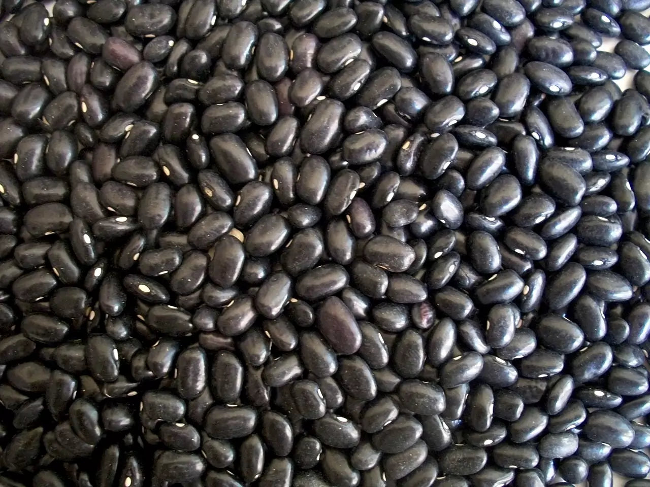 Haricot noir - Zwarte boon 5kg