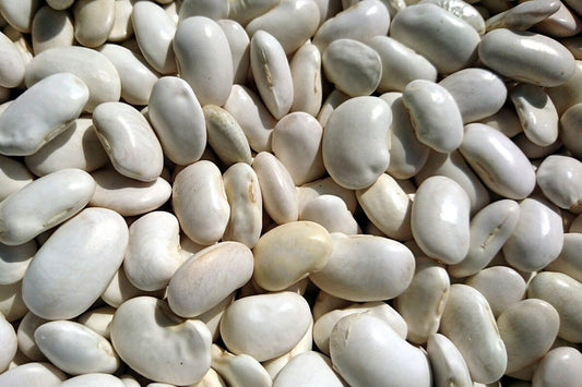 Haricots blancs - Witte boon 5kg