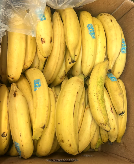 Carton bananes plantains murs 22-23kg
